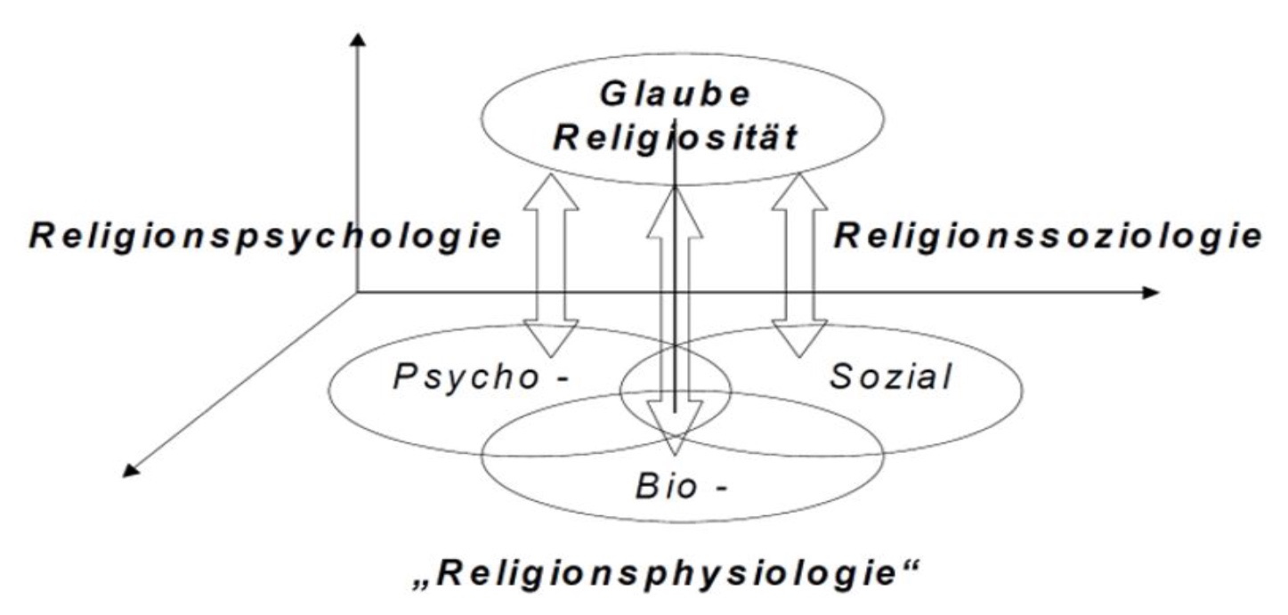 Diagramm.jpg